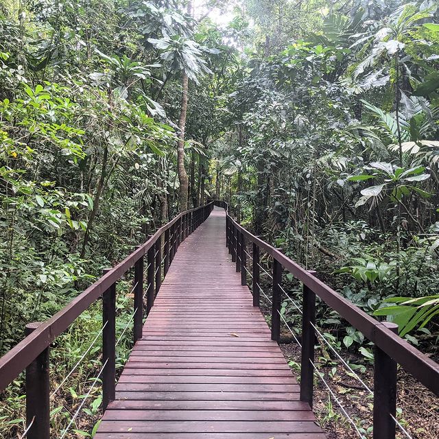 In the jungle, the mighty jungle...  #costarica🇨🇷  #cahuita  #digitalnomad  #slothlife